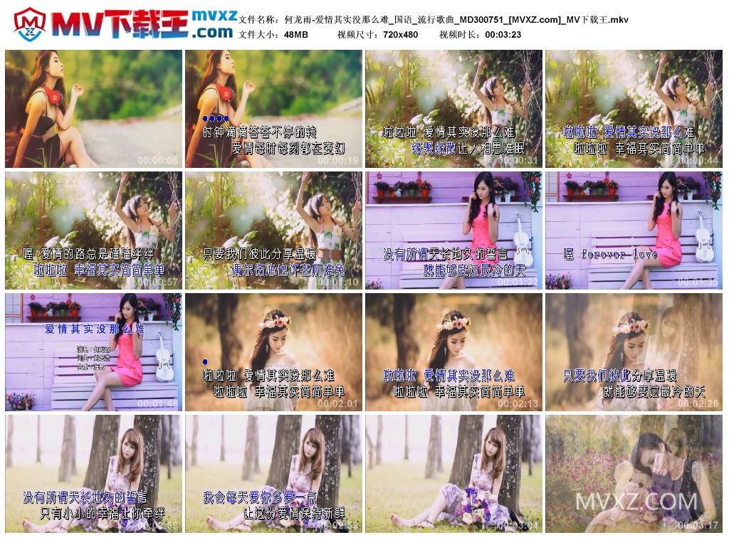 何龙雨-爱情其实没那么难_国语_流行歌曲_MD300751